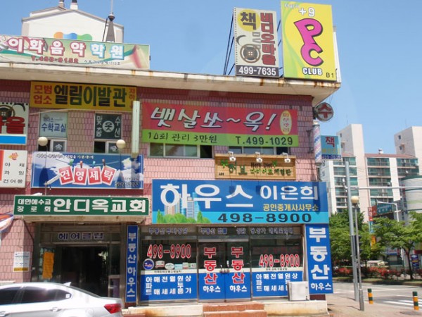 01.jpg